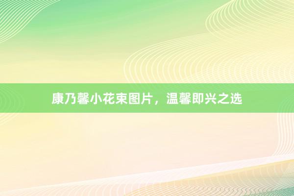 康乃馨小花束图片,温馨即兴之选